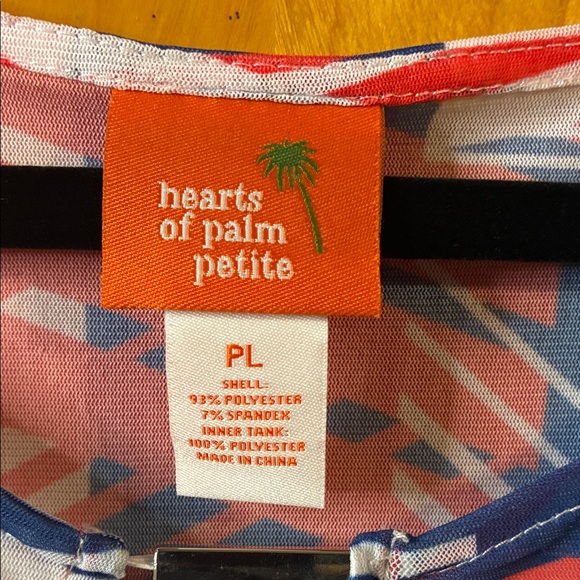 Colorful Blue and Red Striped Sleeveless Top - Picture 2 of 7